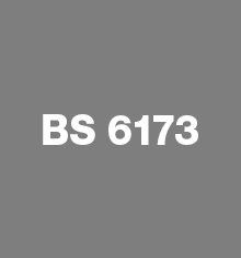 BS 6173